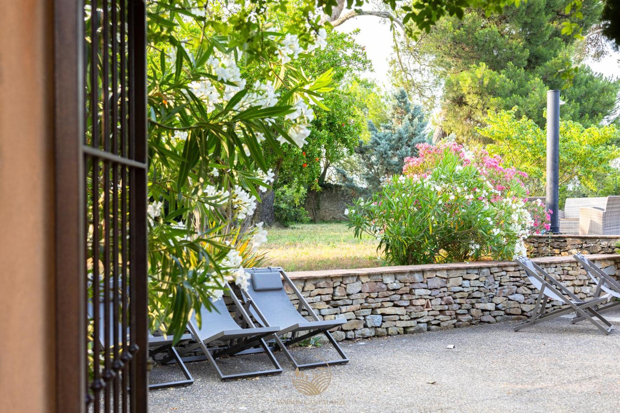 Maison Cantalauze - Pays Cathare - Carcassonne - Canal Du Midi Trèbes Dış mekan fotoğraf