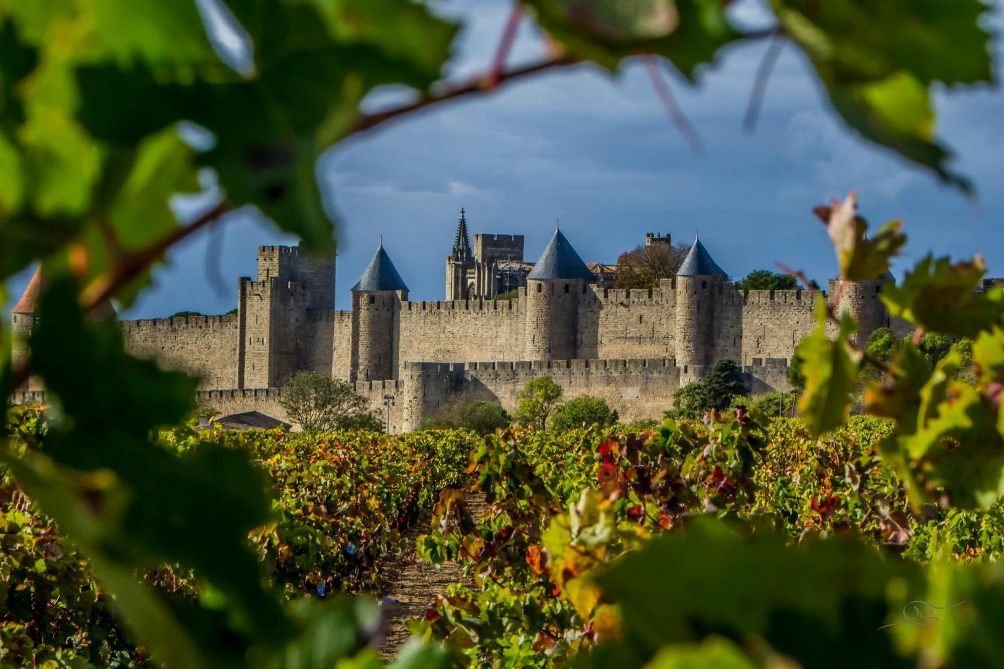 Maison Cantalauze - Pays Cathare - Carcassonne - Canal Du Midi Trèbes Dış mekan fotoğraf